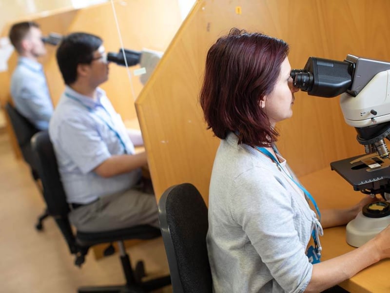 Pathologists using lab microscopes